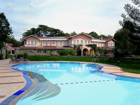 House of Waine - Pool 